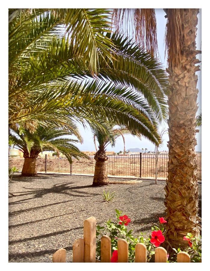 Apartament Tamarindo Pura Vida - Relax Y Vistas Al Mar Corralejo Zewnętrze zdjęcie